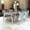 Europe 0.16CBM SS Dining Chairs Modern Fabric Sponge Filler