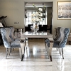 Europe 0.16CBM SS Dining Chairs Modern Fabric Sponge Filler