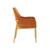 European Style SS Dining Chairs 56x62x93cm With Comfortable Fabric European Style SS Dining Chairs 56x62x93cm With Comfortable Fabric