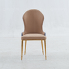 Backrest Decoration 50x60x97cm SS Dining Chairs Modern Dining Room Chairs