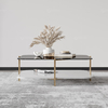 Three Parts 2 Layper SS Coffee Table With Metal Frame 0.90CBM