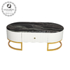 Metal Frame Marble Living Room Table With MDF Cabinet 130x70x44cm Metal Frame Marble Living Room Table With MDF Cabinet 130x70x44cm
